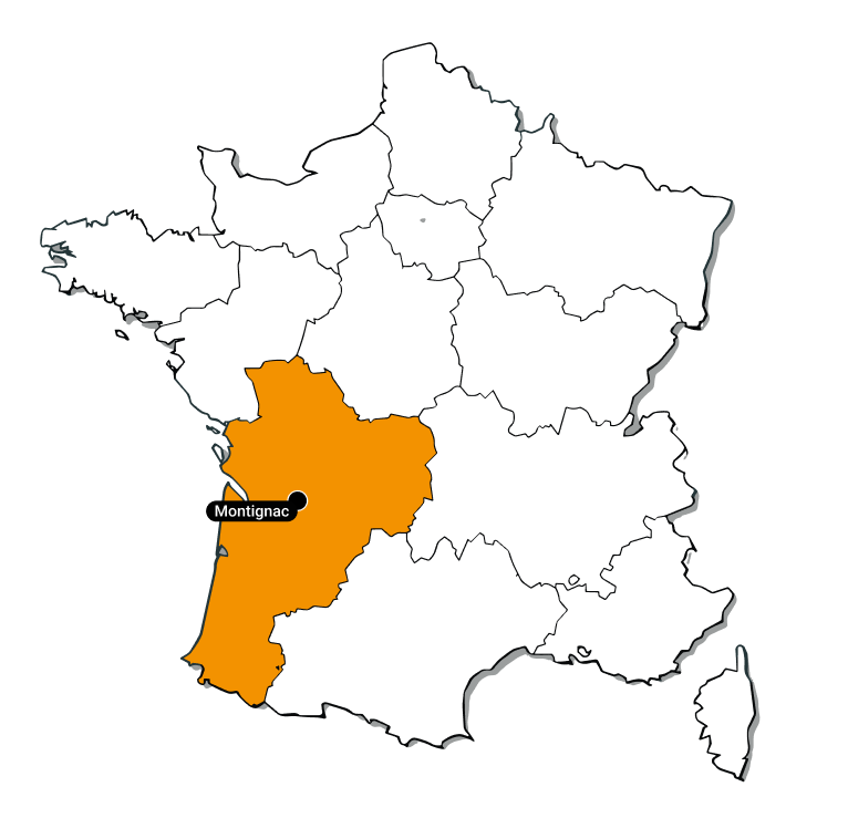 Carte Ville Montignac